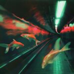 Nameless Fish Underground